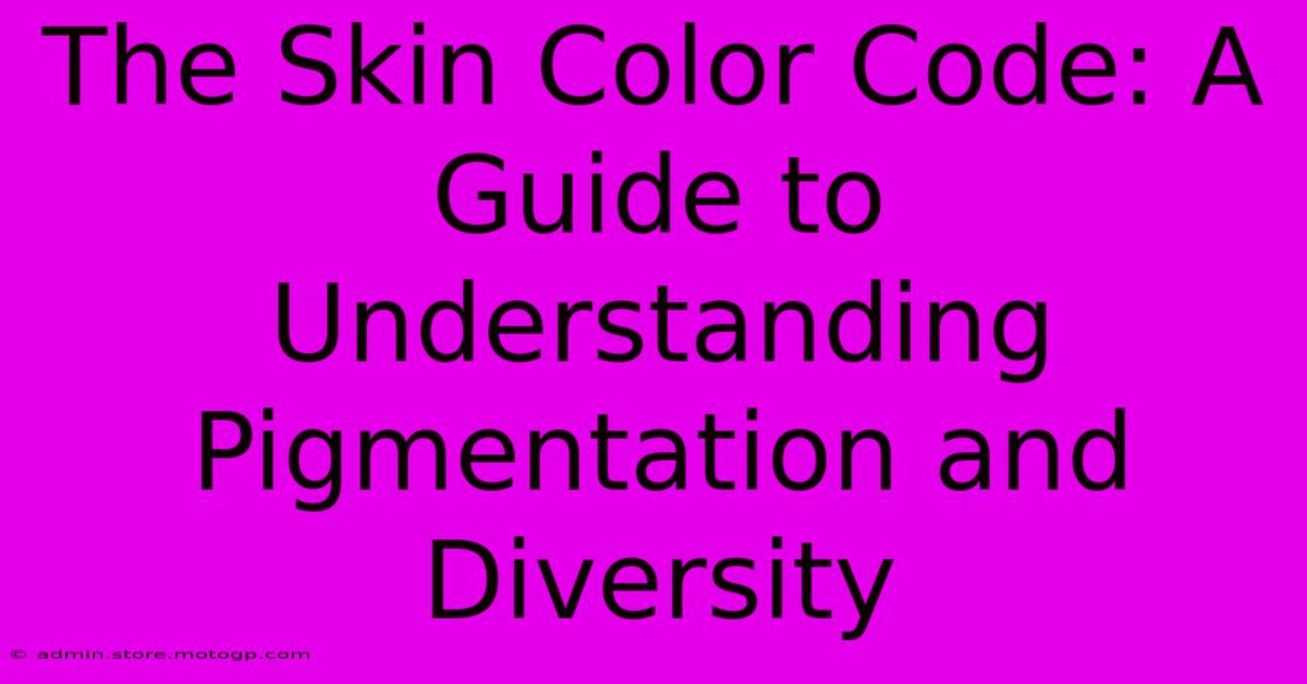 The Skin Color Code: A Guide To Understanding Pigmentation And Diversity