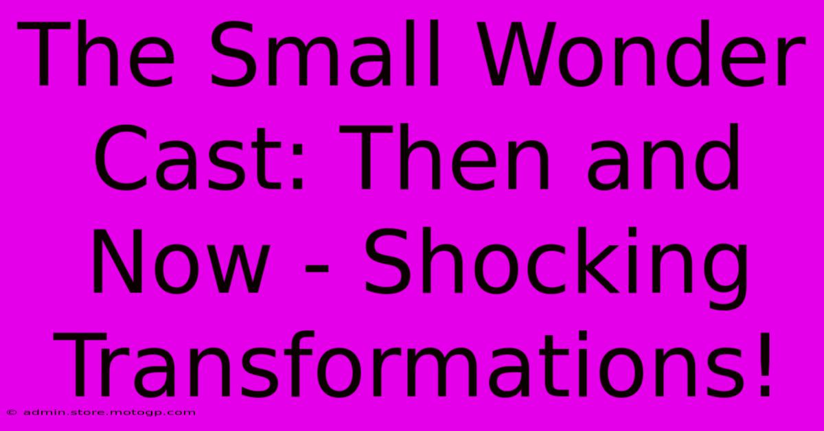The Small Wonder Cast: Then And Now - Shocking Transformations!
