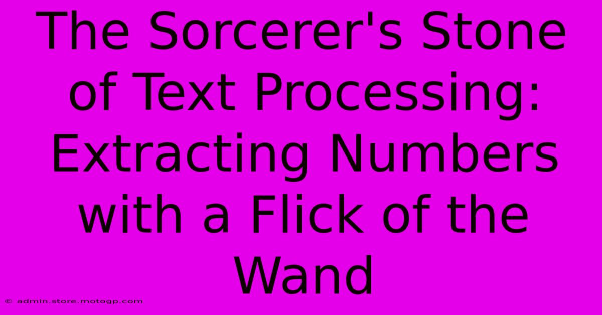 The Sorcerer's Stone Of Text Processing: Extracting Numbers With A Flick Of The Wand