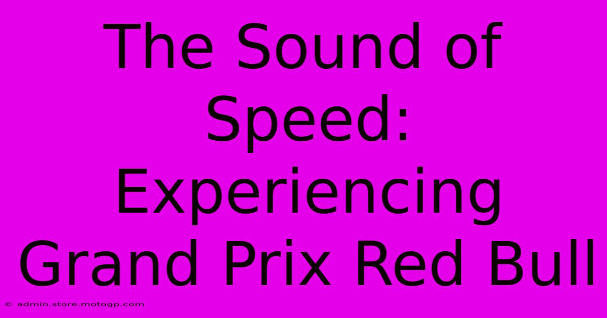 The Sound Of Speed: Experiencing Grand Prix Red Bull