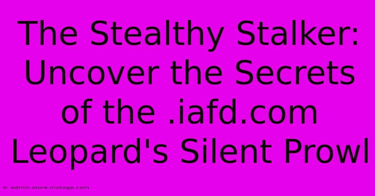 The Stealthy Stalker: Uncover The Secrets Of The .iafd.com Leopard's Silent Prowl