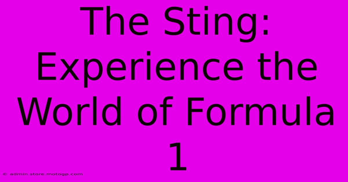 The Sting: Experience The World Of Formula 1