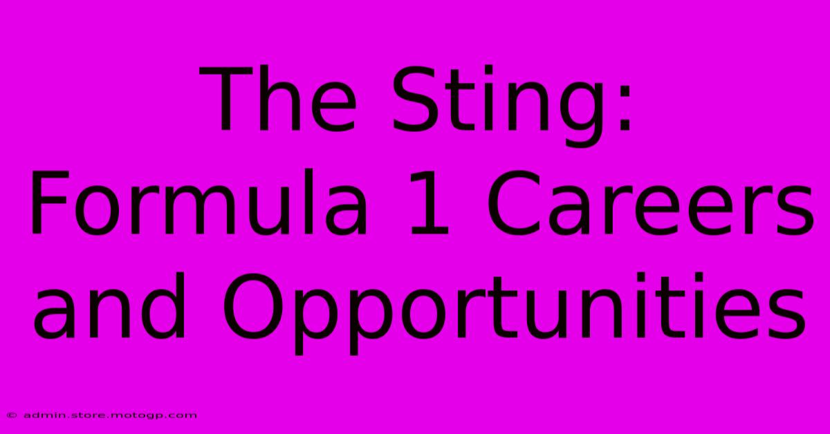 The Sting: Formula 1 Careers And Opportunities