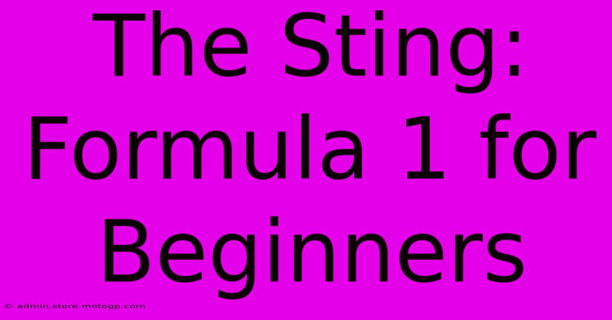 The Sting: Formula 1 For Beginners