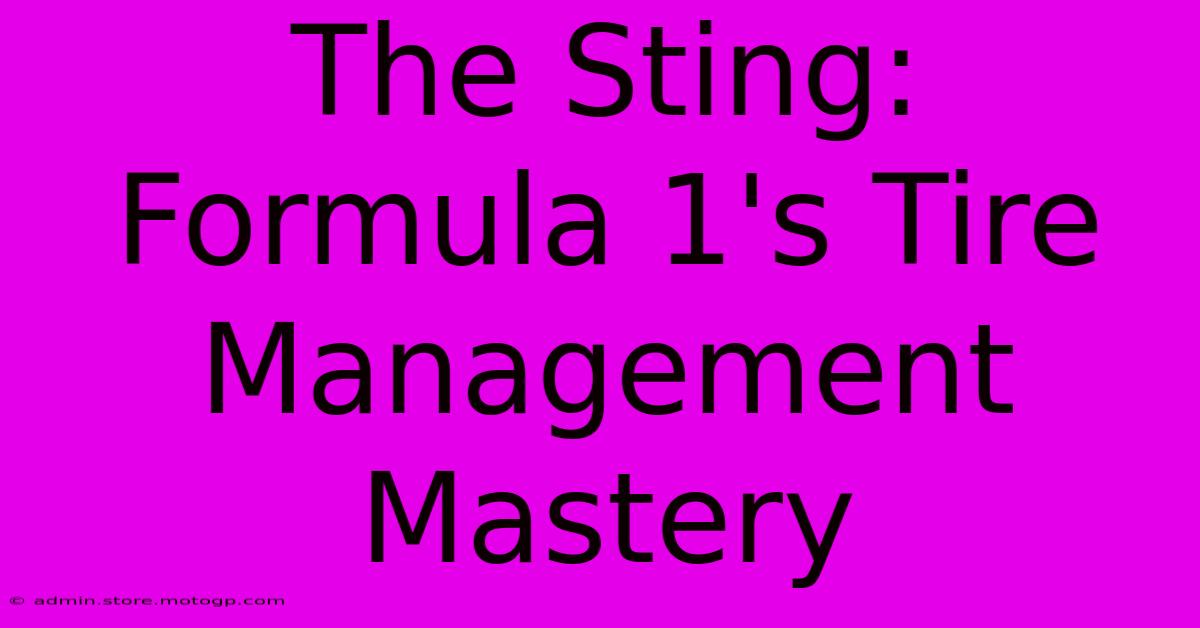 The Sting: Formula 1's Tire Management Mastery