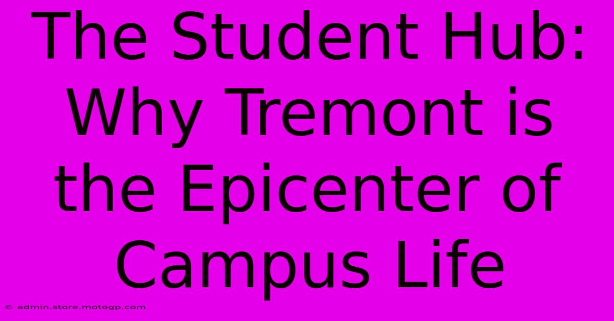 The Student Hub: Why Tremont Is The Epicenter Of Campus Life