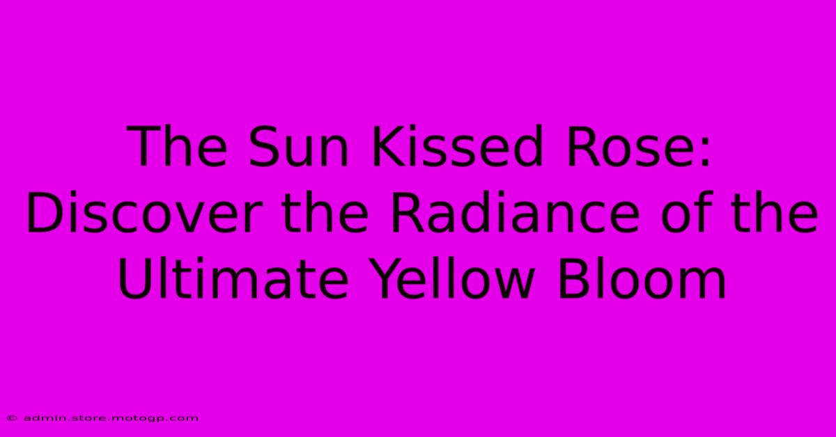 The Sun Kissed Rose: Discover The Radiance Of The Ultimate Yellow Bloom