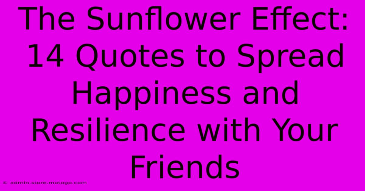 The Sunflower Effect: 14 Quotes To Spread Happiness And Resilience With Your Friends