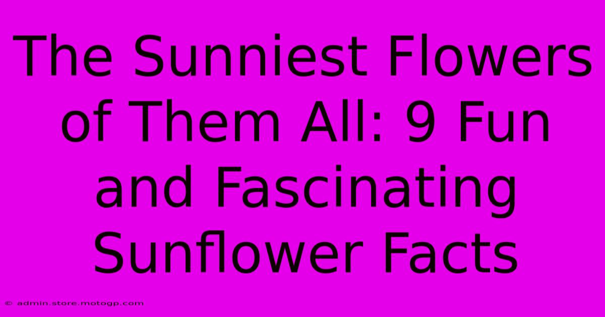 The Sunniest Flowers Of Them All: 9 Fun And Fascinating Sunflower Facts