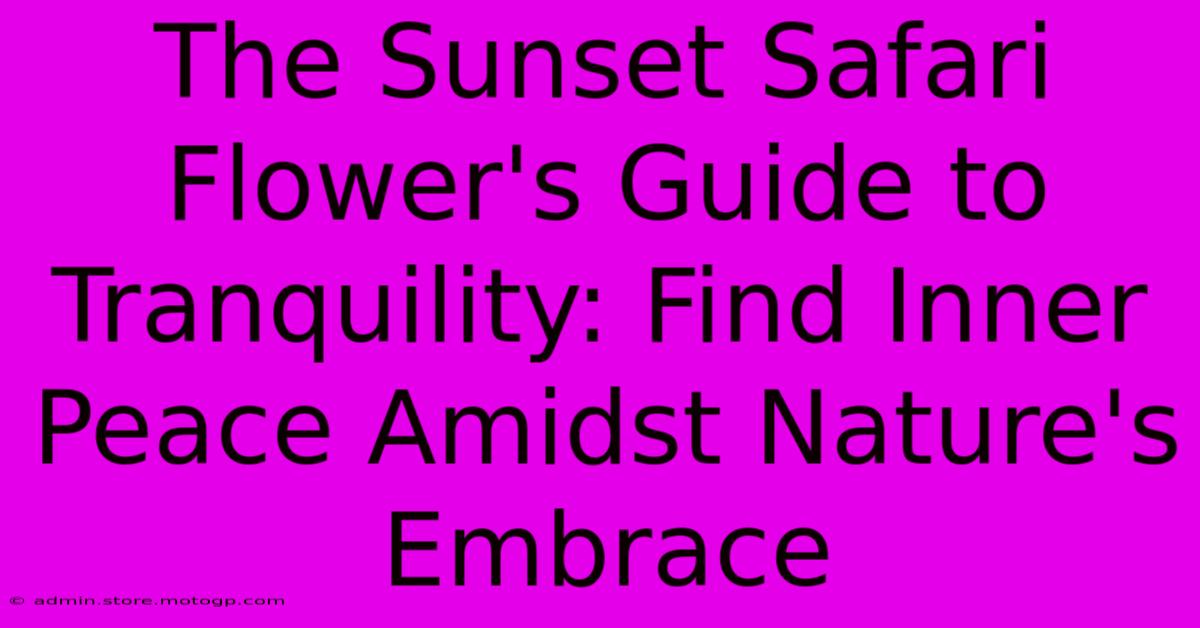 The Sunset Safari Flower's Guide To Tranquility: Find Inner Peace Amidst Nature's Embrace