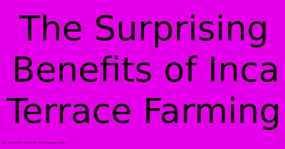 The Surprising Benefits Of Inca Terrace Farming