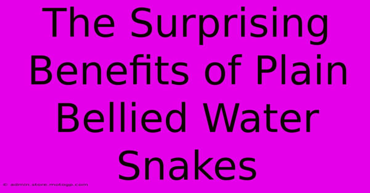 The Surprising Benefits Of Plain Bellied Water Snakes