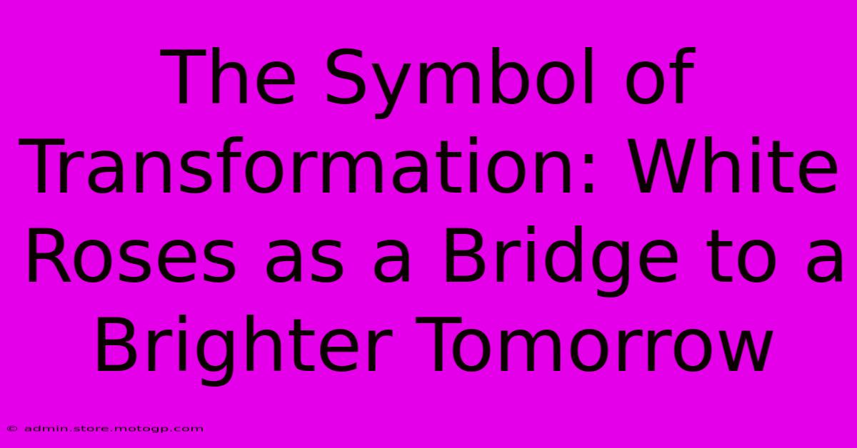 The Symbol Of Transformation: White Roses As A Bridge To A Brighter Tomorrow