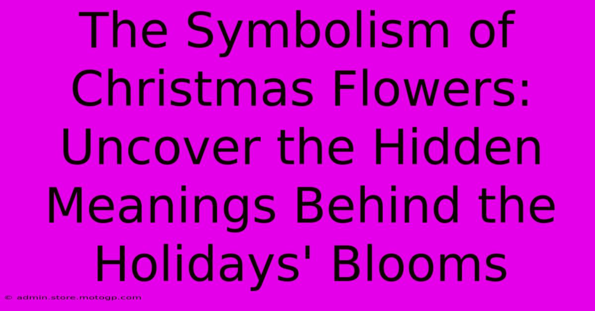 The Symbolism Of Christmas Flowers: Uncover The Hidden Meanings Behind The Holidays' Blooms