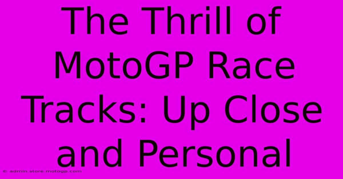 The Thrill Of MotoGP Race Tracks: Up Close And Personal