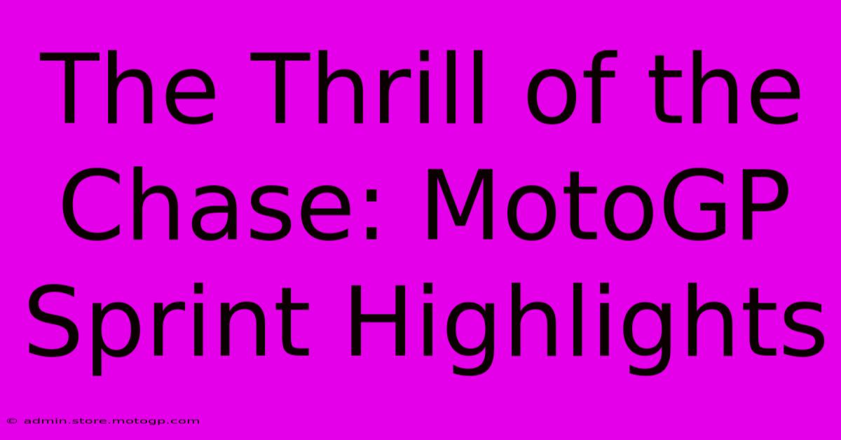 The Thrill Of The Chase: MotoGP Sprint Highlights