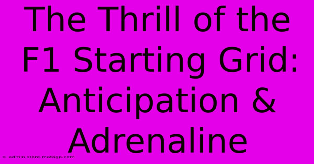 The Thrill Of The F1 Starting Grid: Anticipation & Adrenaline