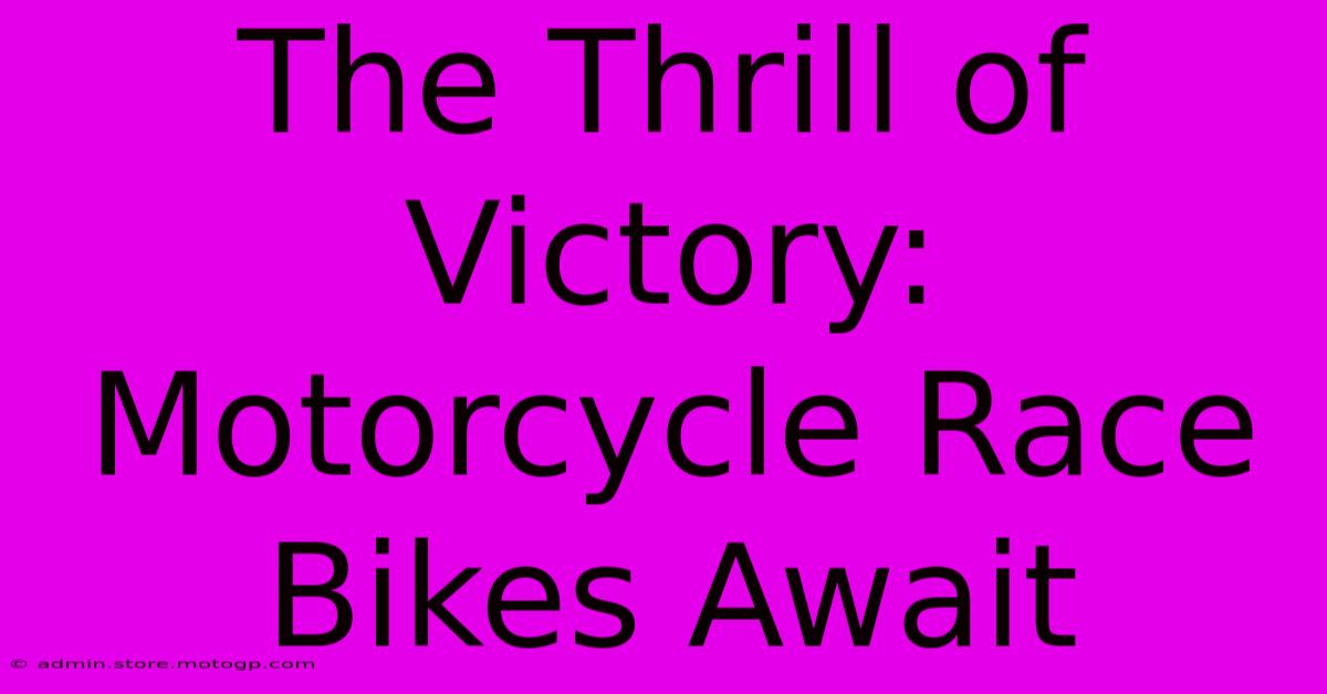 The Thrill Of Victory: Motorcycle Race Bikes Await