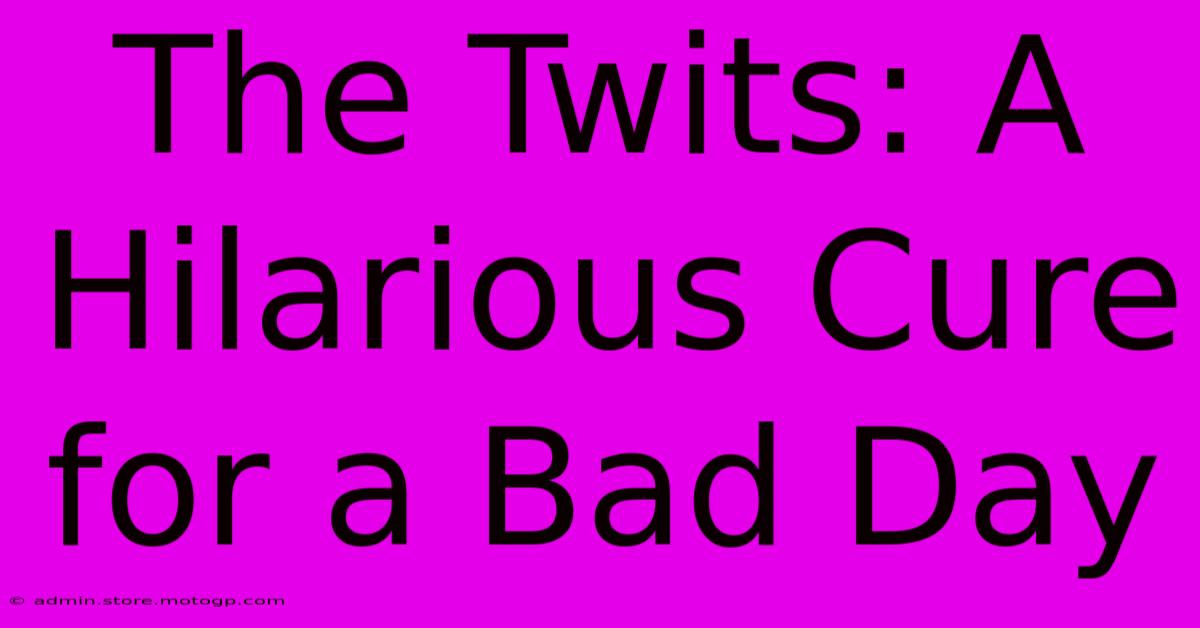 The Twits: A Hilarious Cure For A Bad Day