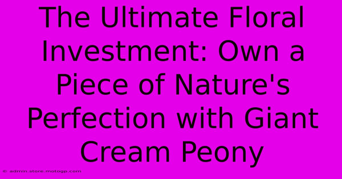 The Ultimate Floral Investment: Own A Piece Of Nature's Perfection With Giant Cream Peony