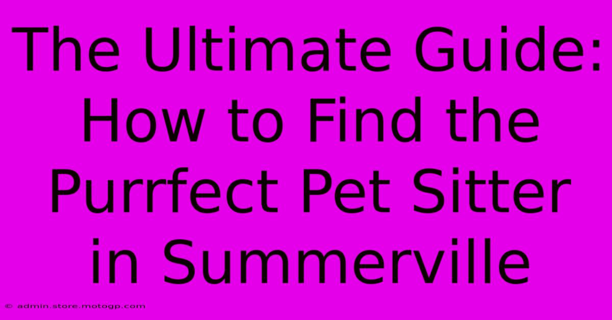 The Ultimate Guide: How To Find The Purrfect Pet Sitter In Summerville