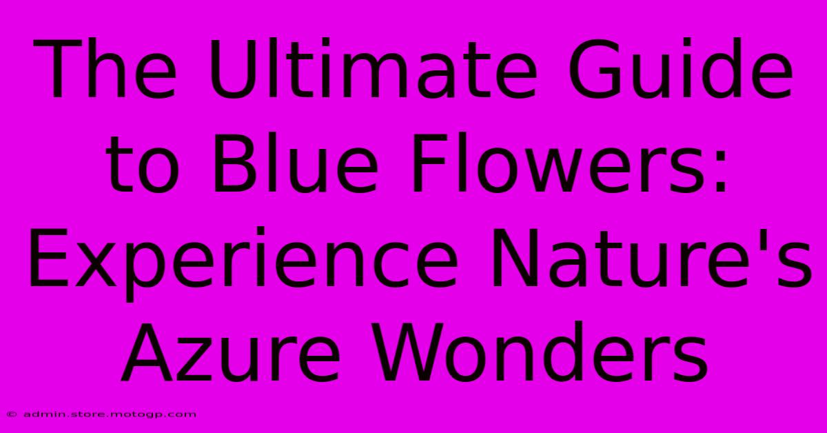 The Ultimate Guide To Blue Flowers: Experience Nature's Azure Wonders