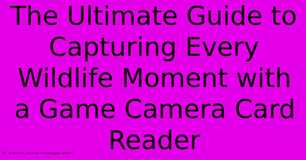 The Ultimate Guide To Capturing Every Wildlife Moment With A Game Camera Card Reader