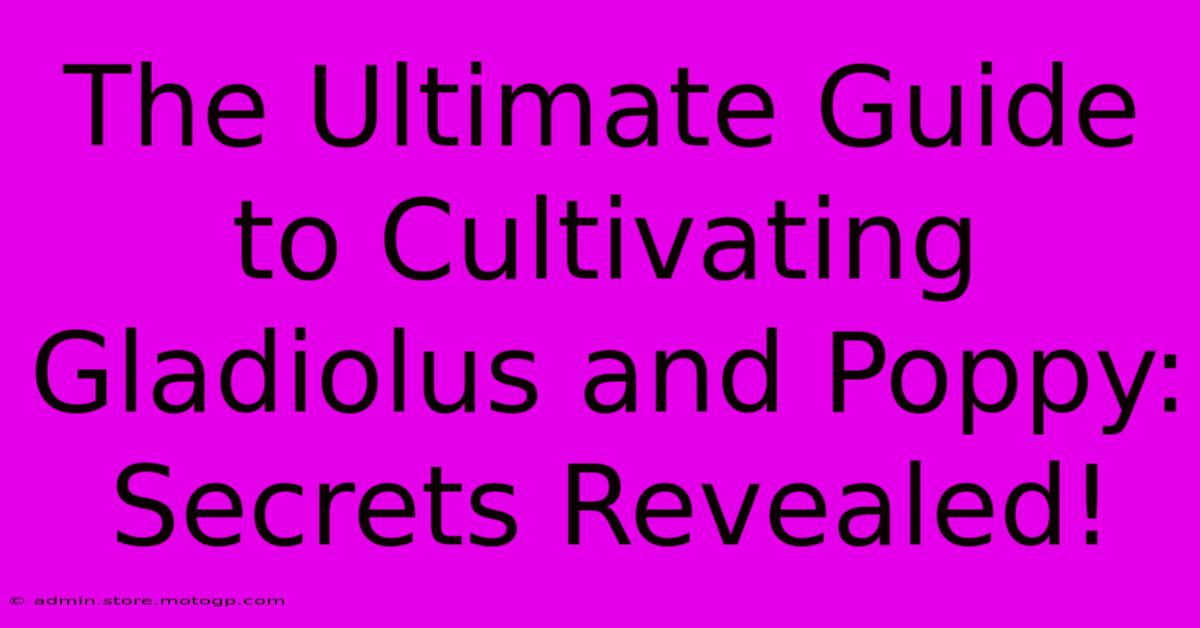 The Ultimate Guide To Cultivating Gladiolus And Poppy: Secrets Revealed!