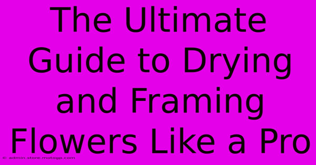 The Ultimate Guide To Drying And Framing Flowers Like A Pro