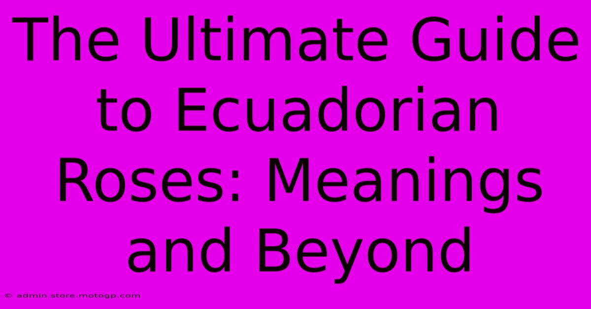 The Ultimate Guide To Ecuadorian Roses: Meanings And Beyond