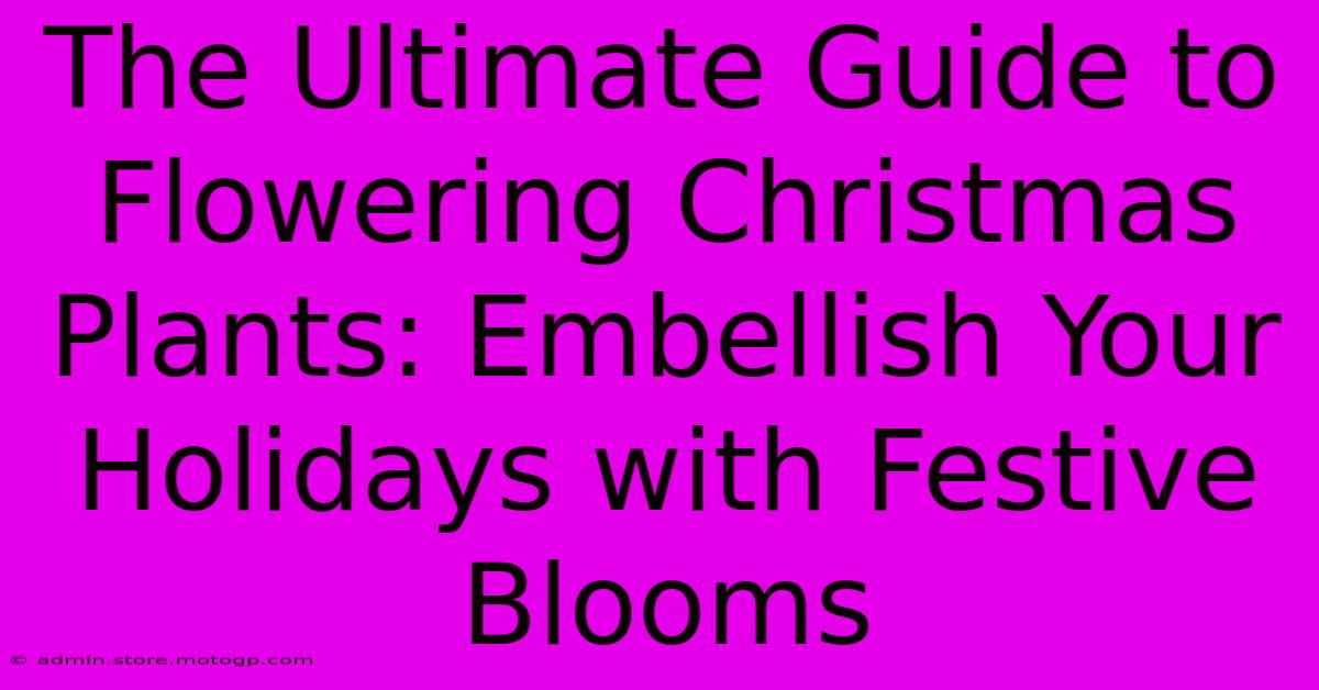 The Ultimate Guide To Flowering Christmas Plants: Embellish Your Holidays With Festive Blooms