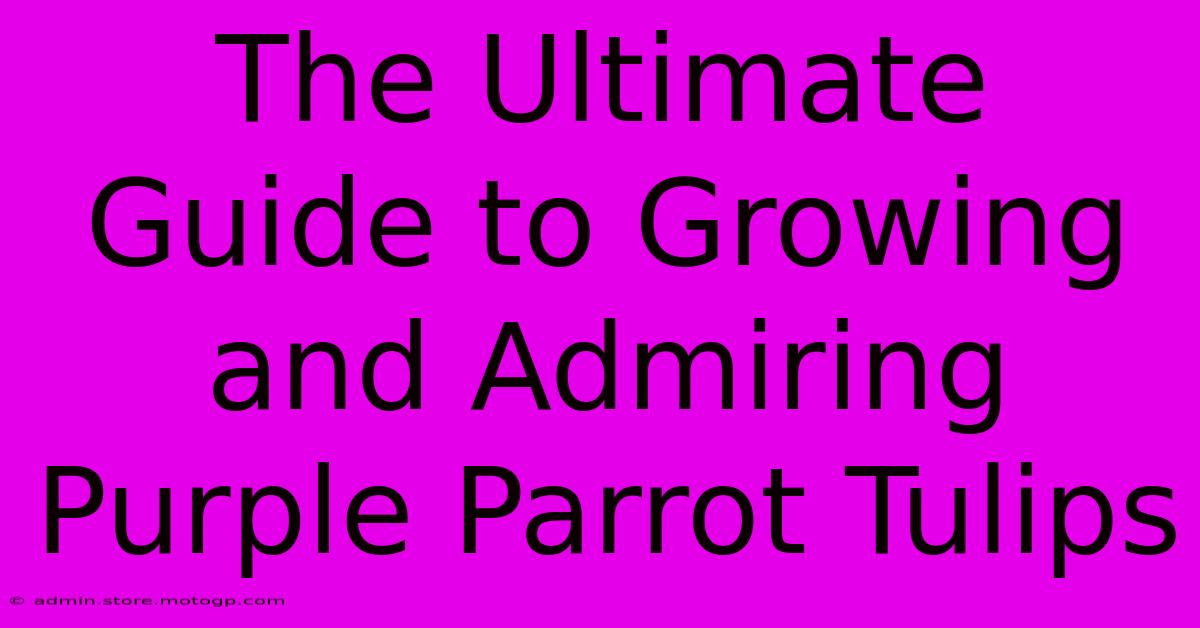 The Ultimate Guide To Growing And Admiring Purple Parrot Tulips