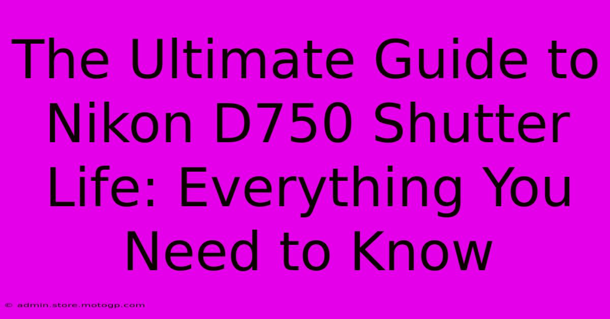 The Ultimate Guide To Nikon D750 Shutter Life: Everything You Need To Know