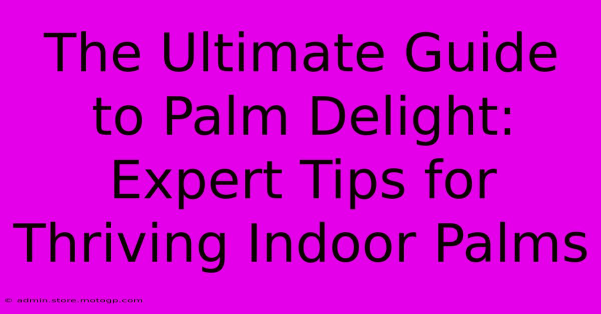 The Ultimate Guide To Palm Delight: Expert Tips For Thriving Indoor Palms