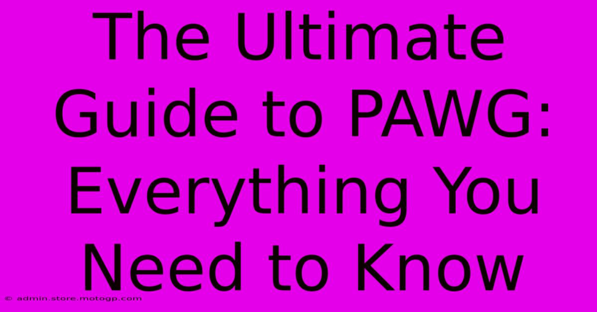 The Ultimate Guide To PAWG: Everything You Need To Know