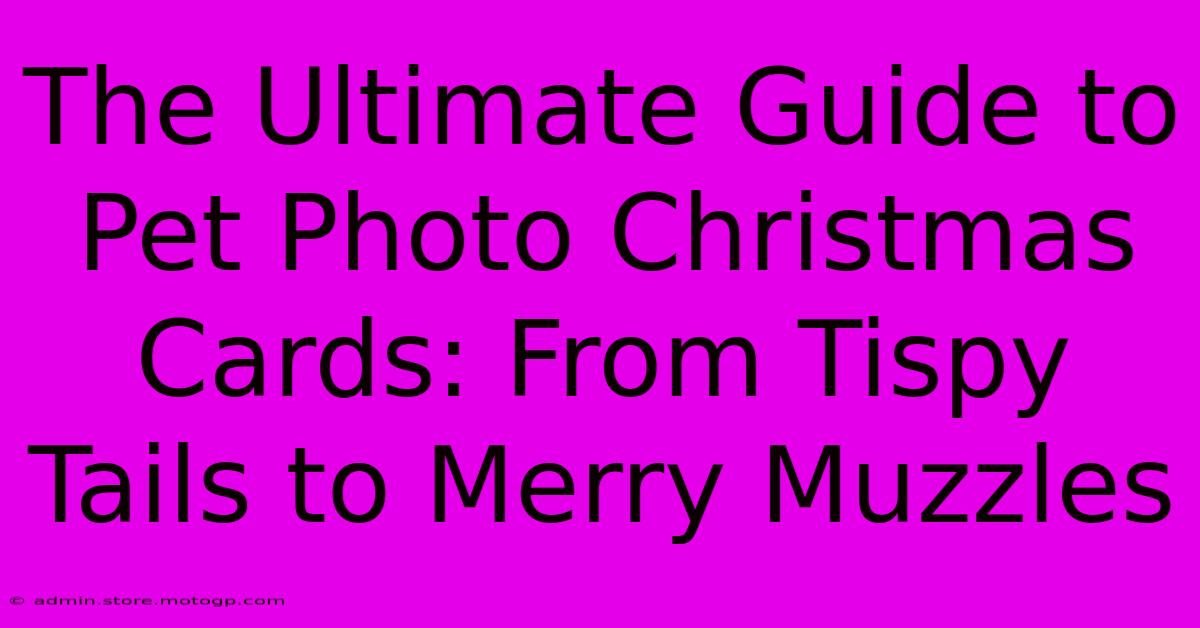 The Ultimate Guide To Pet Photo Christmas Cards: From Tispy Tails To Merry Muzzles