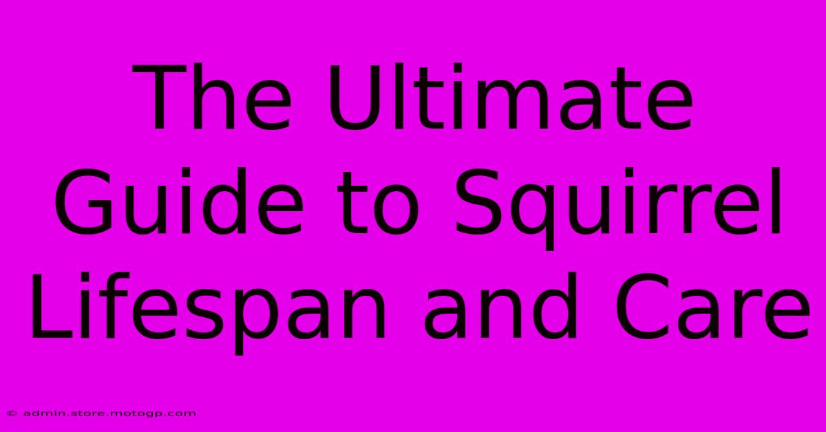 The Ultimate Guide To Squirrel Lifespan And Care