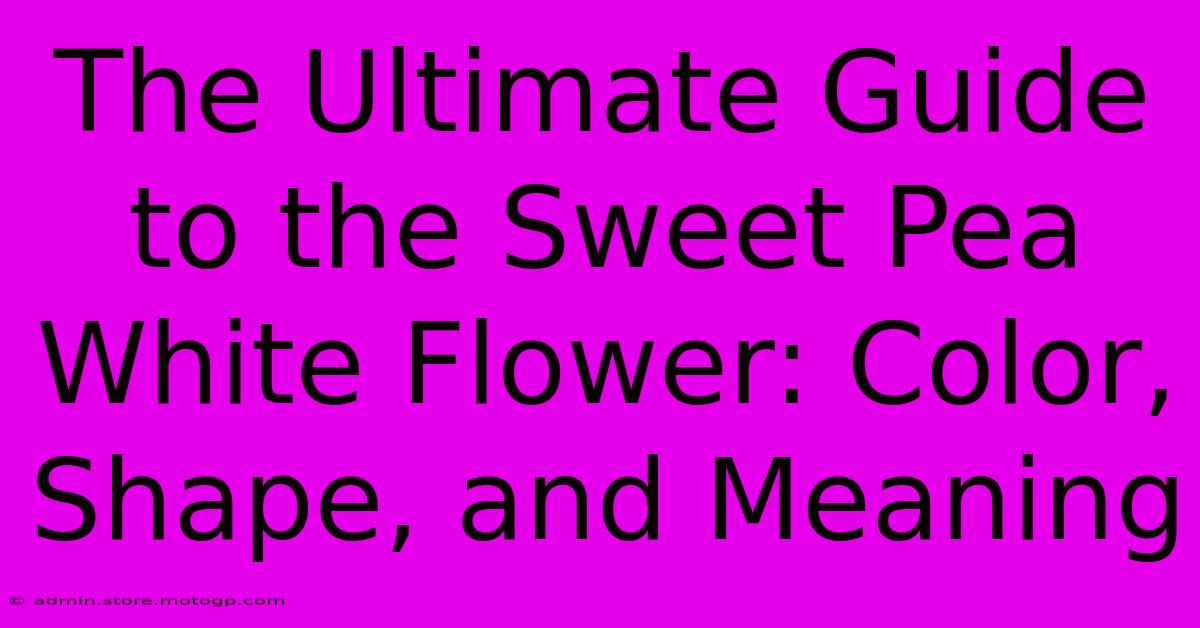 The Ultimate Guide To The Sweet Pea White Flower: Color, Shape, And Meaning