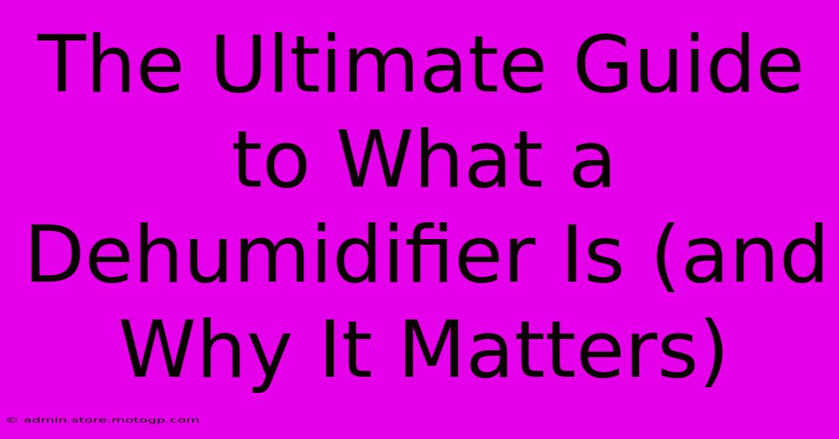 The Ultimate Guide To What A Dehumidifier Is (and Why It Matters)