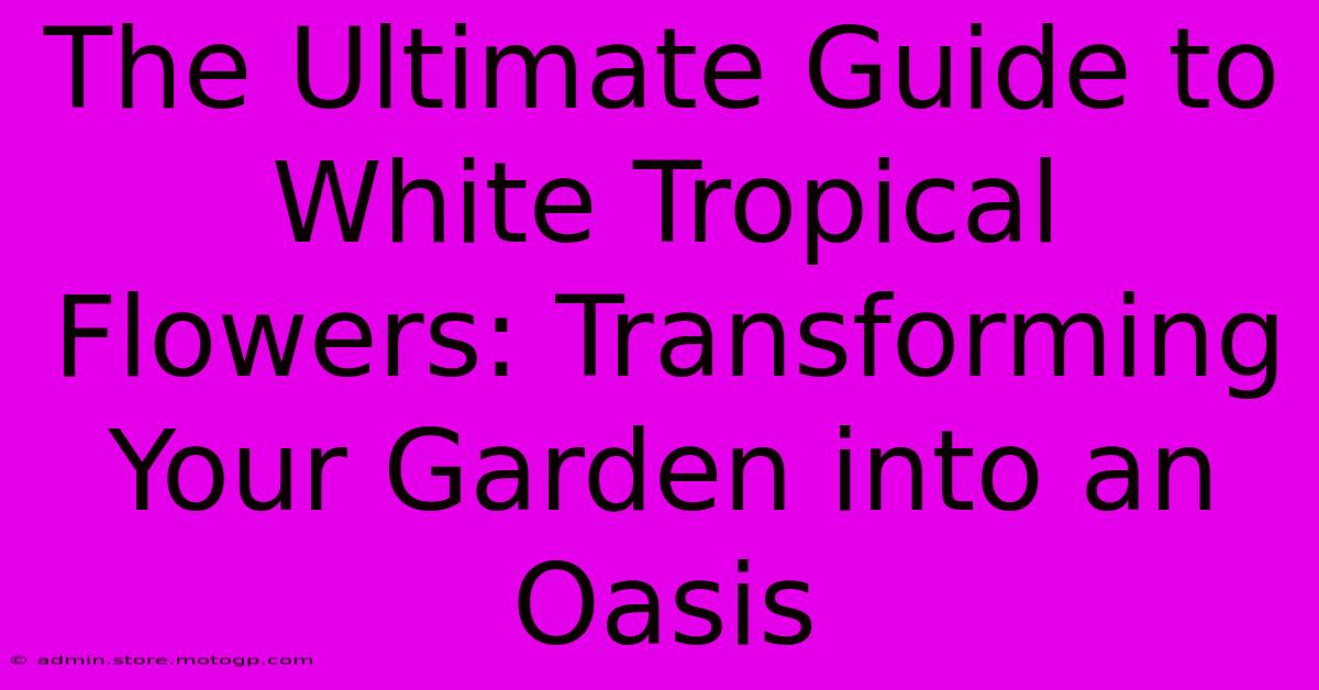 The Ultimate Guide To White Tropical Flowers: Transforming Your Garden Into An Oasis