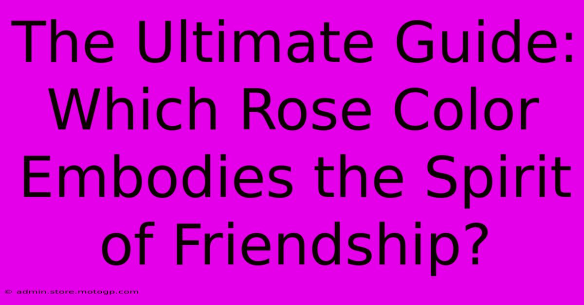 The Ultimate Guide: Which Rose Color Embodies The Spirit Of Friendship?