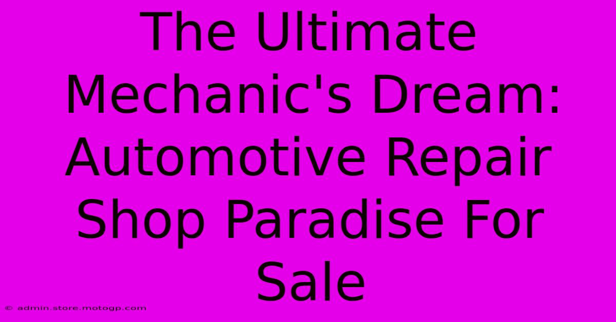 The Ultimate Mechanic's Dream: Automotive Repair Shop Paradise For Sale