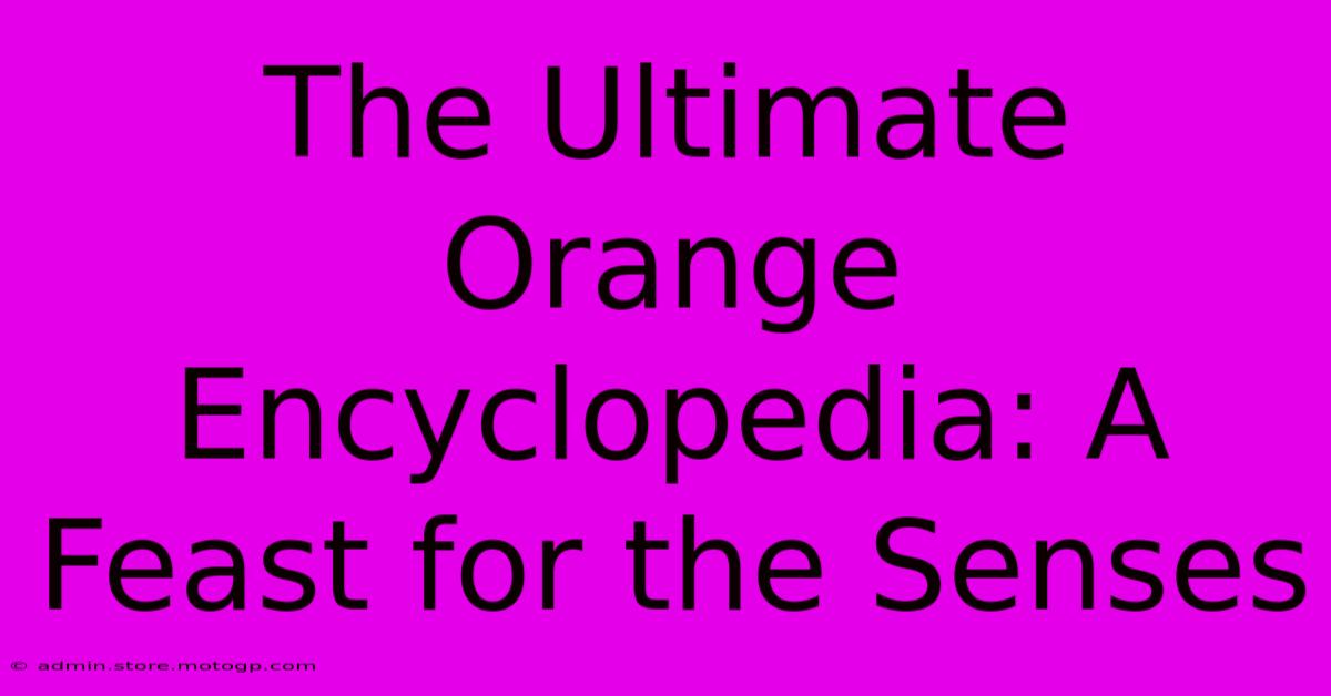 The Ultimate Orange Encyclopedia: A Feast For The Senses