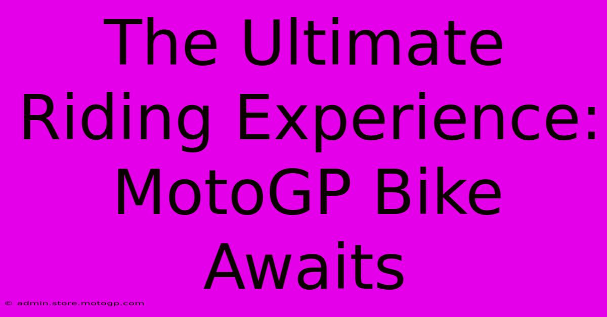 The Ultimate Riding Experience: MotoGP Bike Awaits