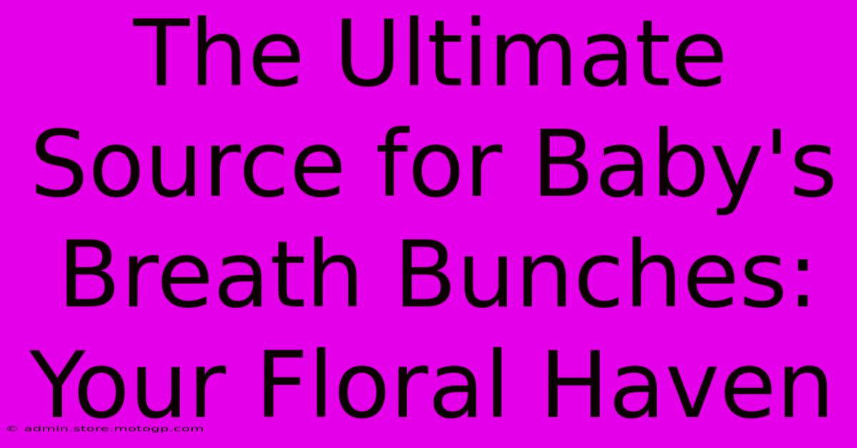 The Ultimate Source For Baby's Breath Bunches: Your Floral Haven