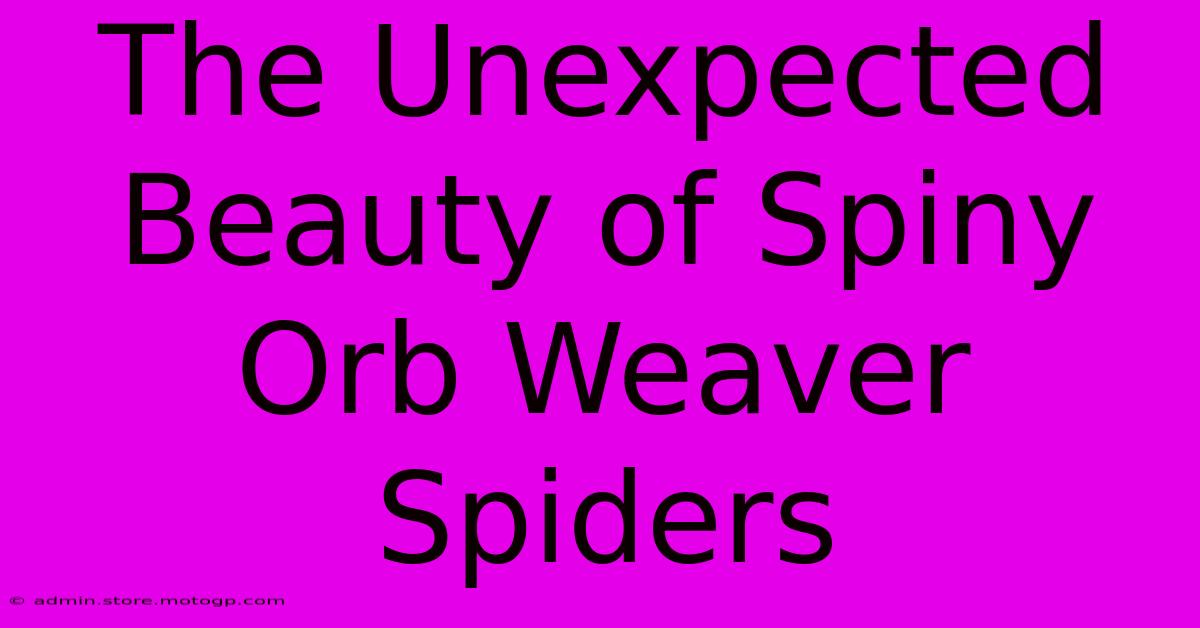 The Unexpected Beauty Of Spiny Orb Weaver Spiders