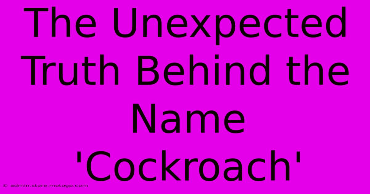 The Unexpected Truth Behind The Name 'Cockroach'