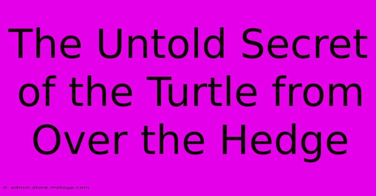 The Untold Secret Of The Turtle From Over The Hedge