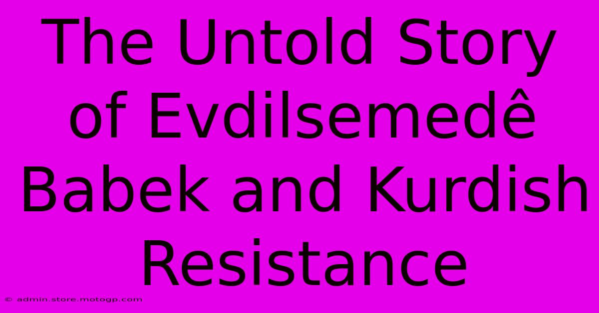 The Untold Story Of Evdilsemedê Babek And Kurdish Resistance