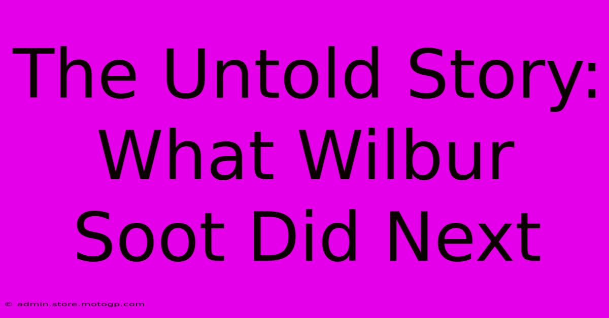 The Untold Story: What Wilbur Soot Did Next